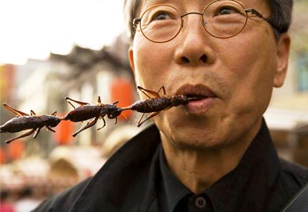 UN Asks People To Start Eating Insects